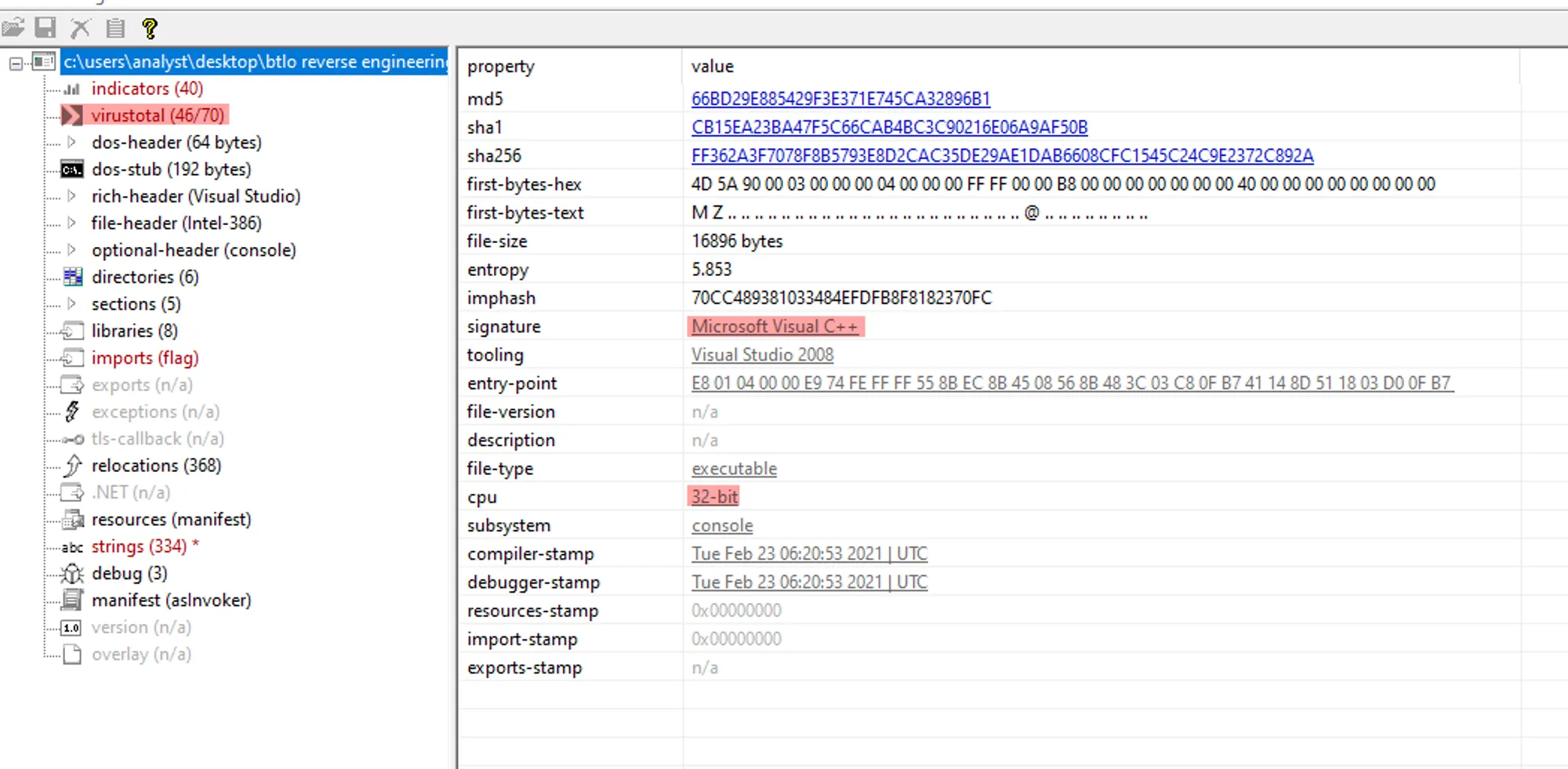 Getting Information from the Binary